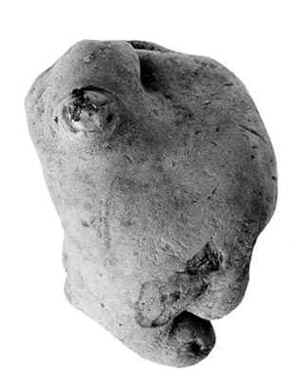 Pommes de terre