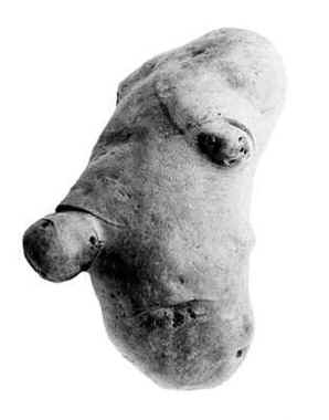 Pommes de terre