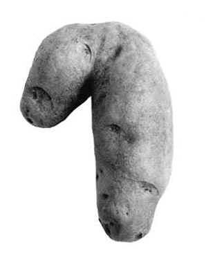 Pommes de terre